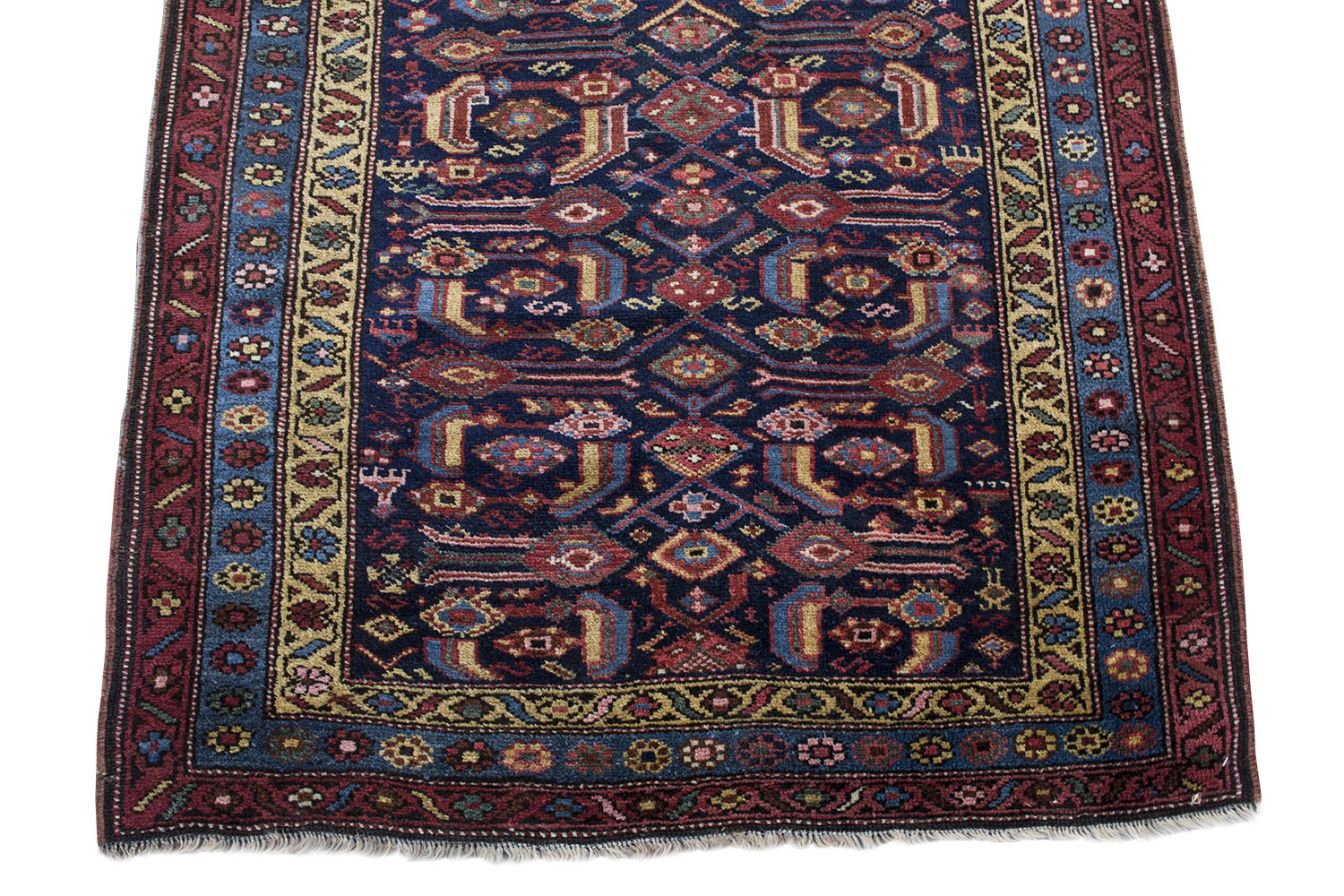 Old Persian Kelardasht