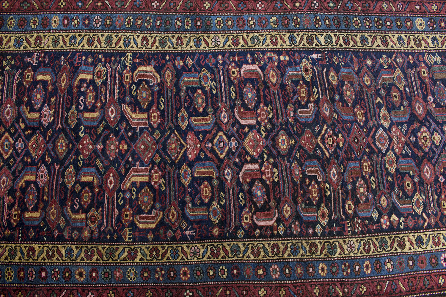 Old Persian Kelardasht