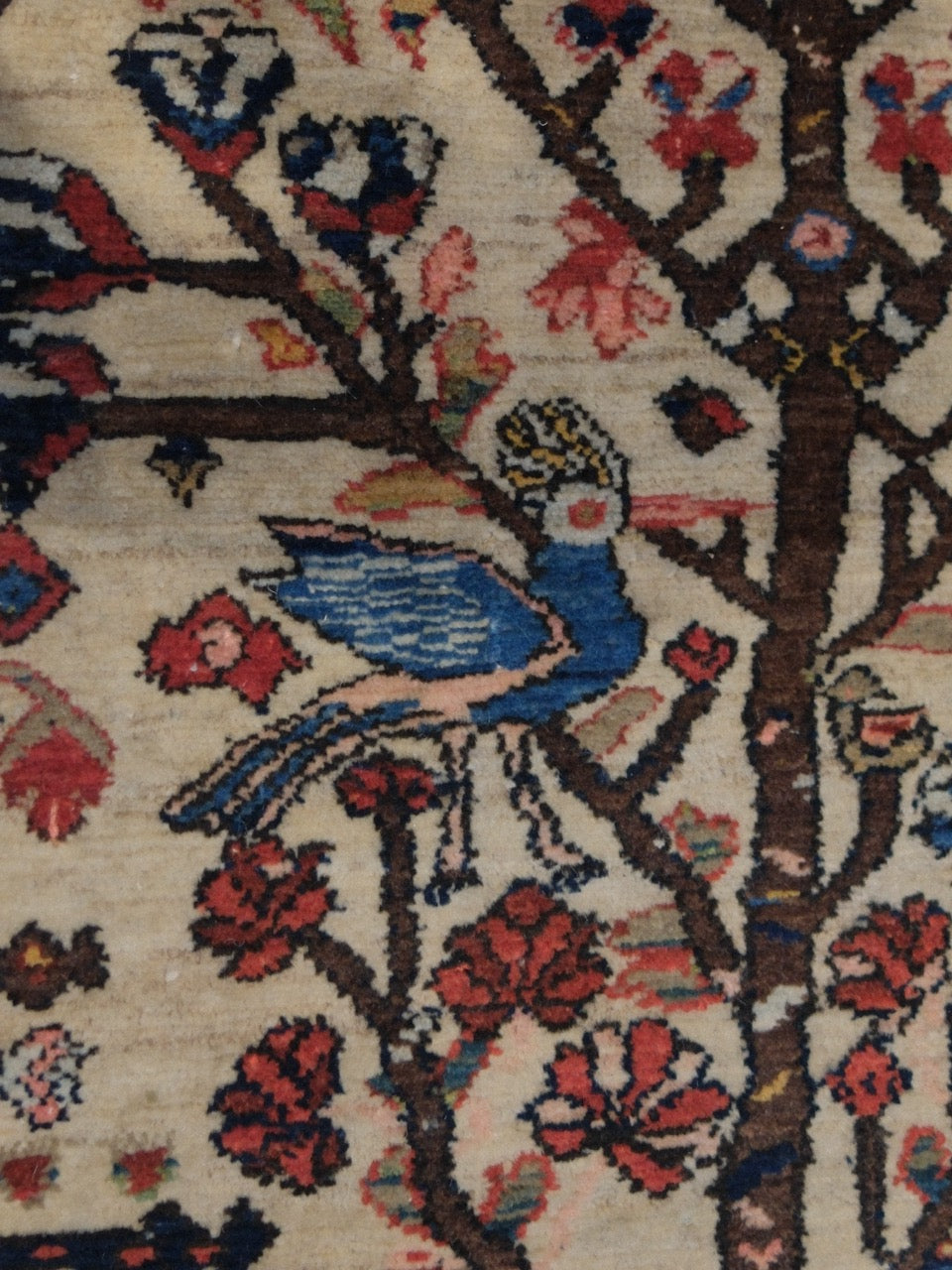 61285 Antique Bakhtiar rug 4.7x5.6