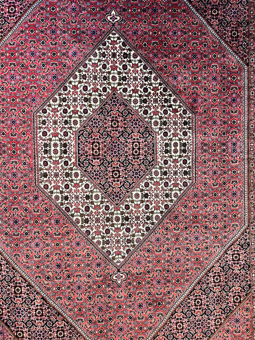 C106331 Fine Bijan Persian Rug