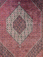 C106331 Fine Bijan Persian Rug