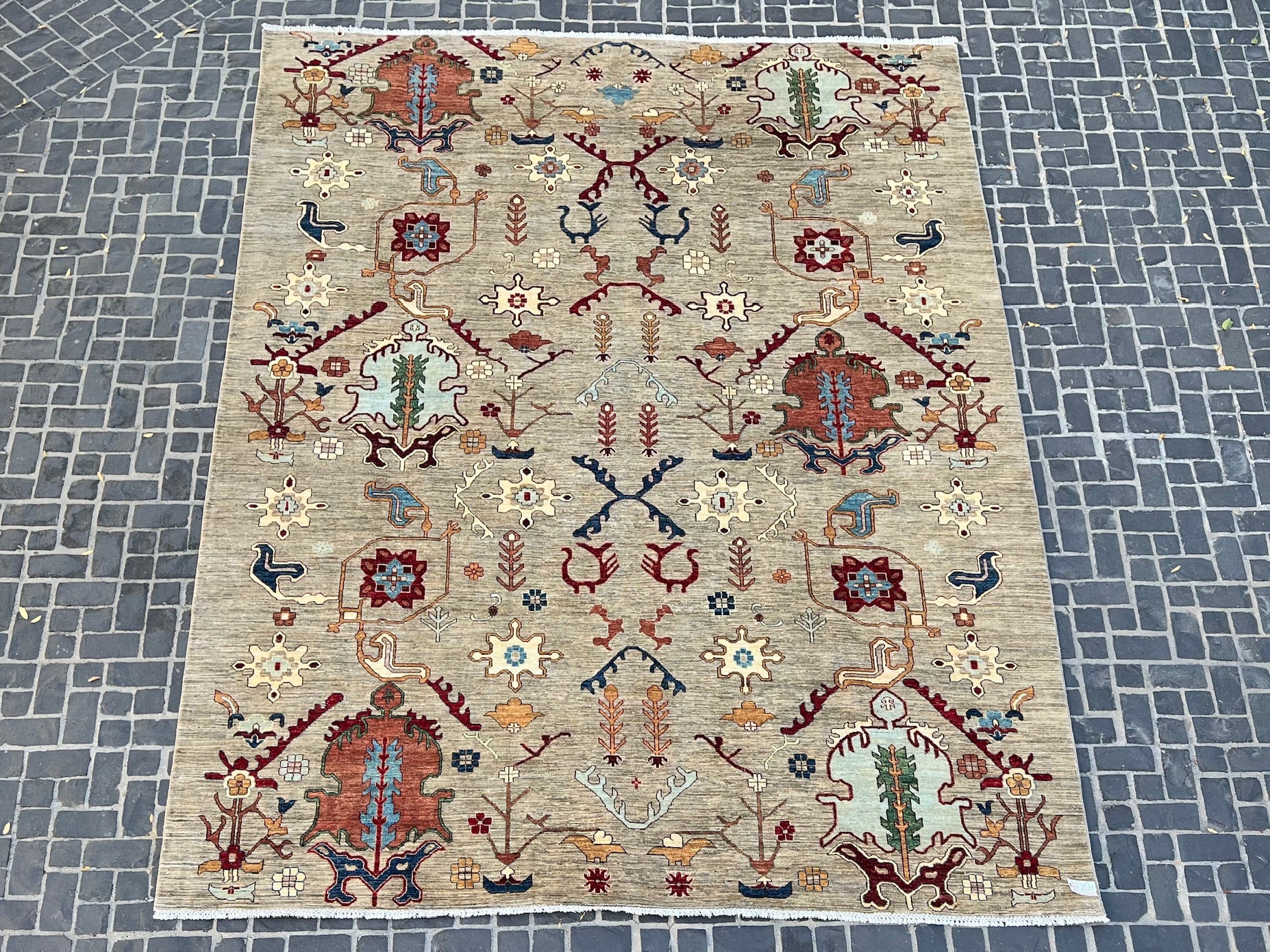C57-257 Paki Rug