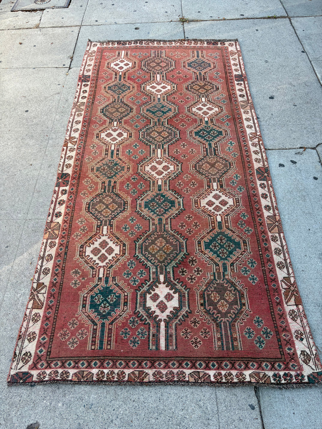 62070 Vintage Shiraz 4.03x8.09