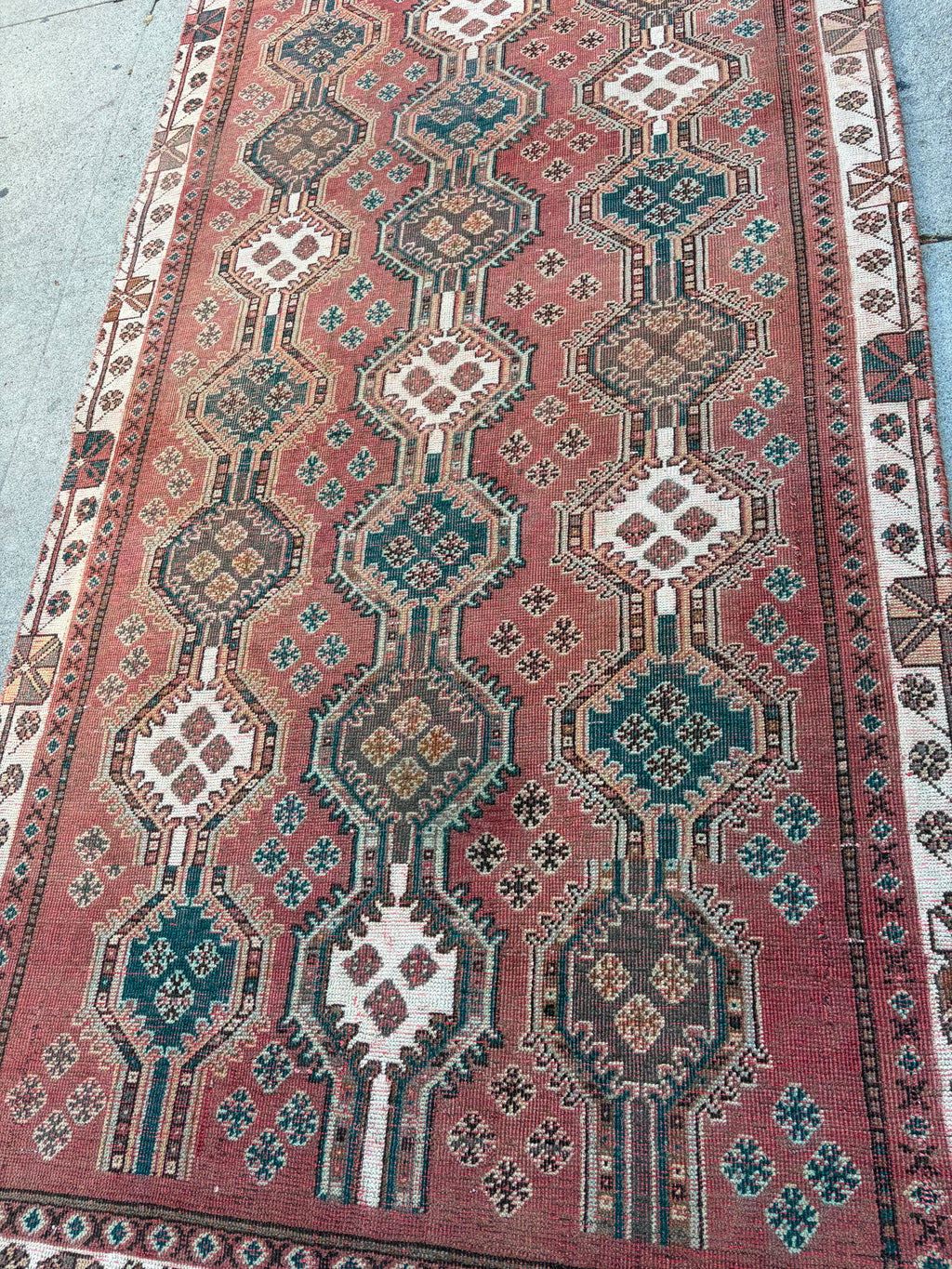 62070 Vintage Shiraz 4.03x8.09