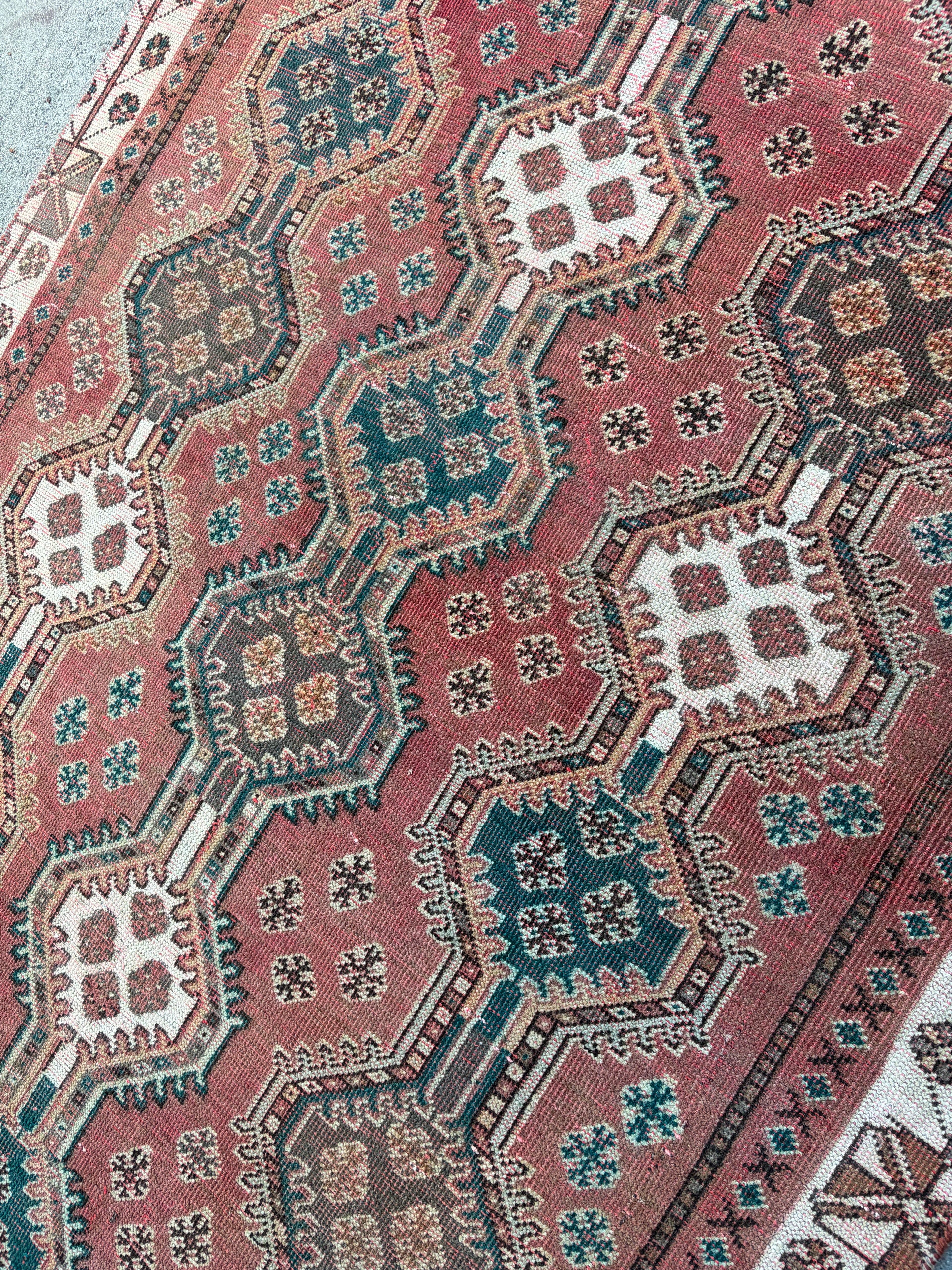 62070 Vintage Shiraz 4.03x8.09