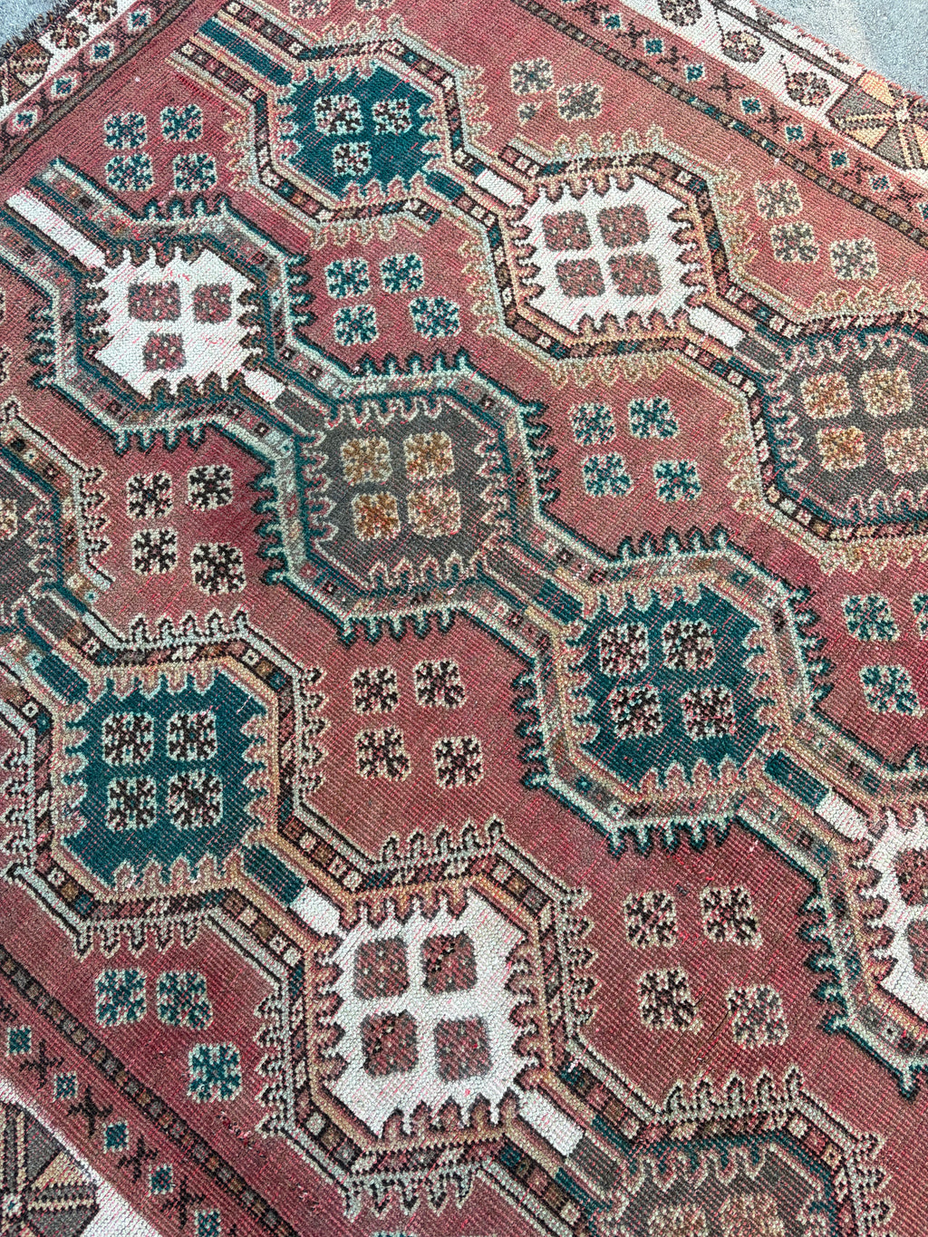62070 Vintage Shiraz 4.03x8.09