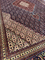 072525/B Tabriz Mahi