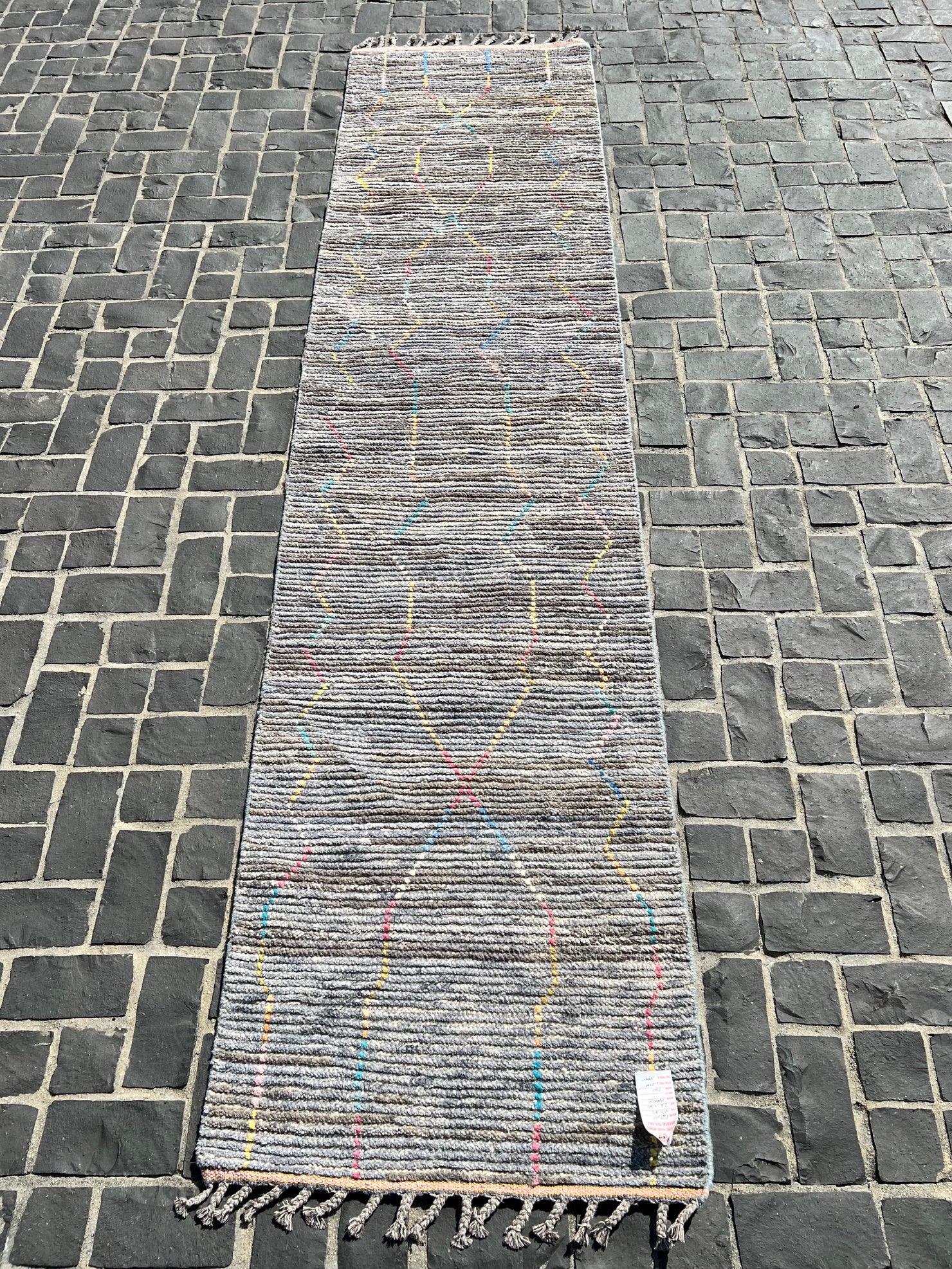 P6690064 Paki Runner