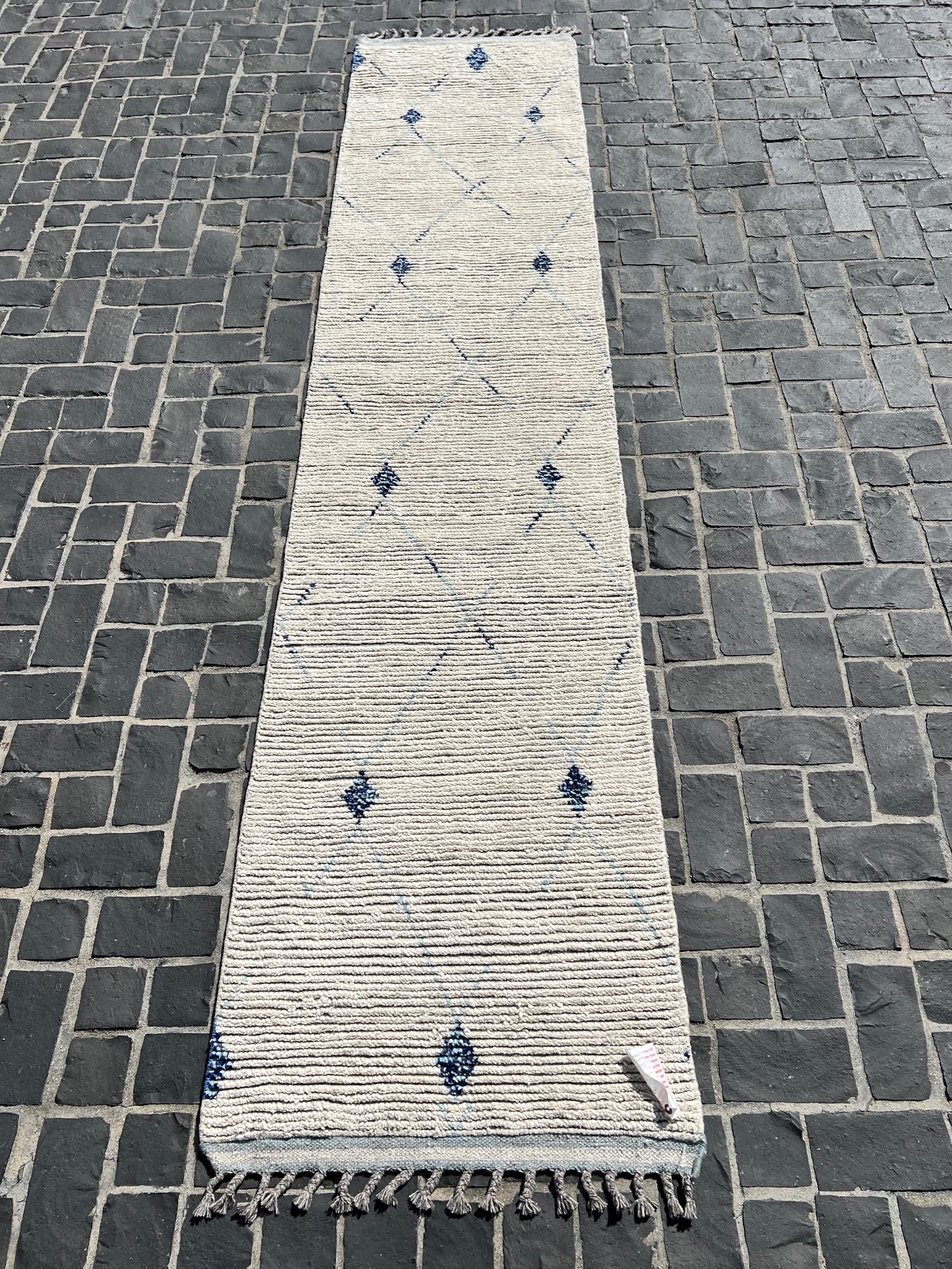 P6690061 Paki Runner