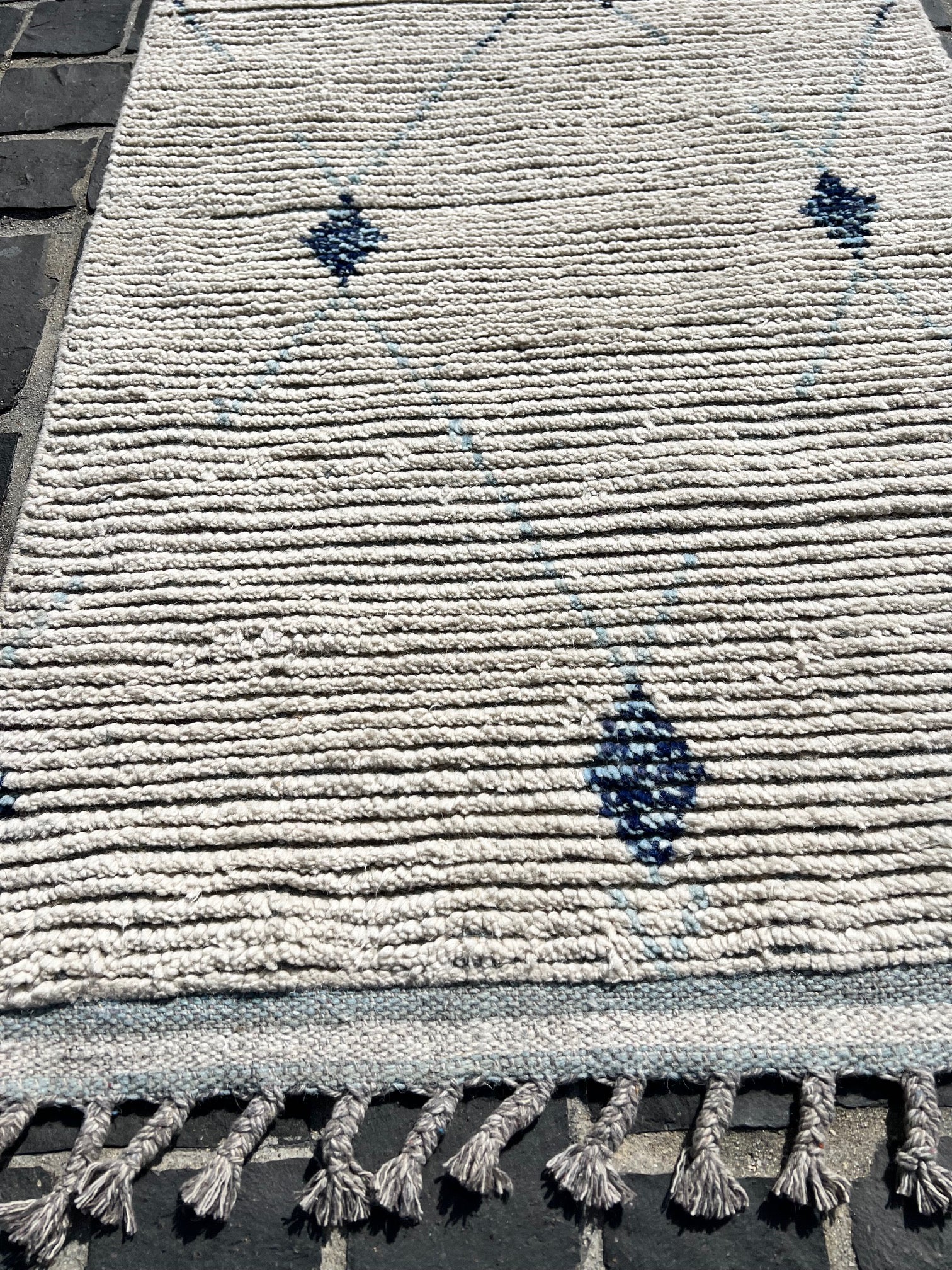 P6690061 Paki Runner