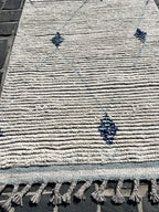 P6690061 Paki Runner 2'3" x 10'10"