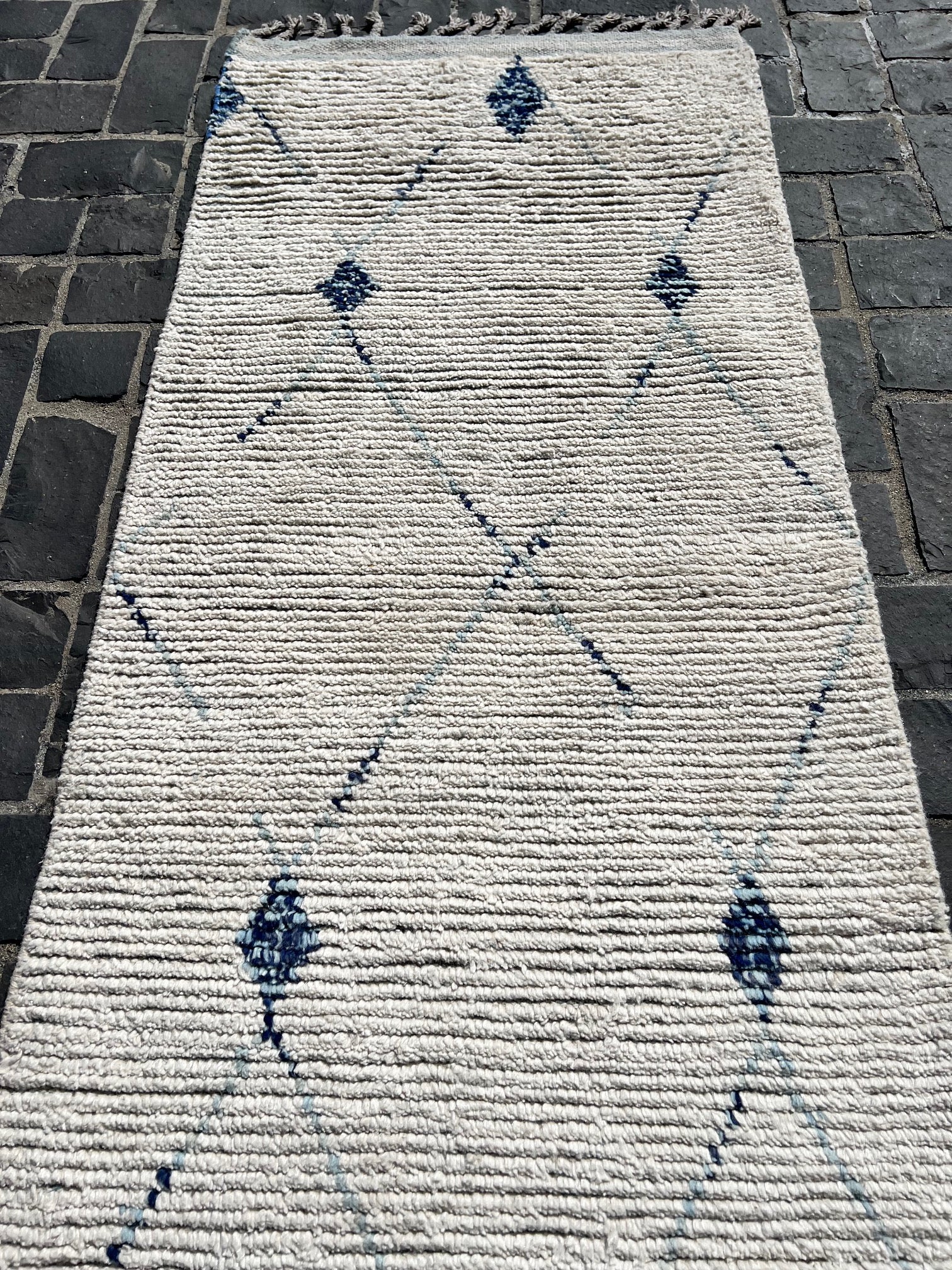 P6690061 Paki Runner