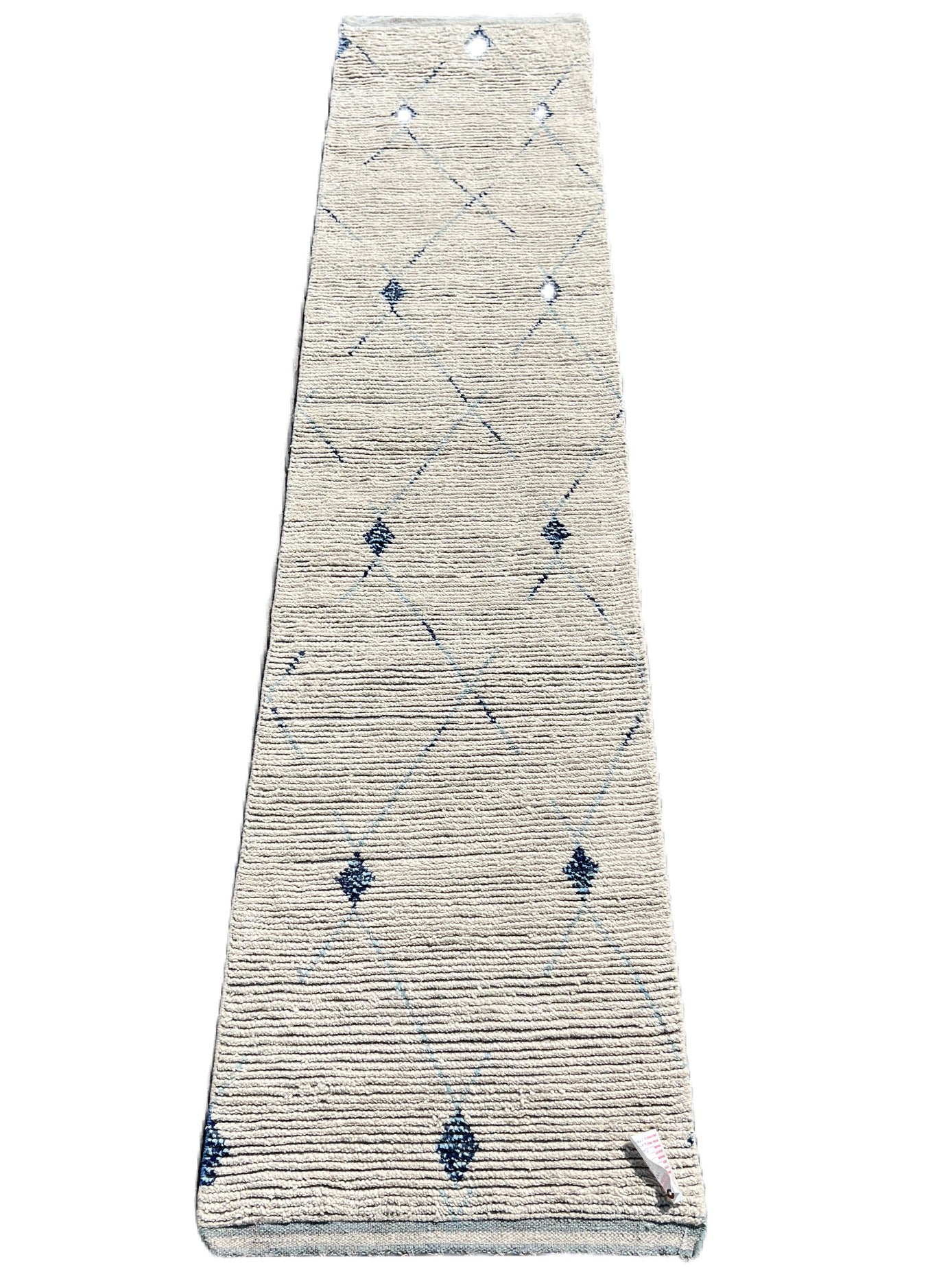 P6690061 Paki Runner