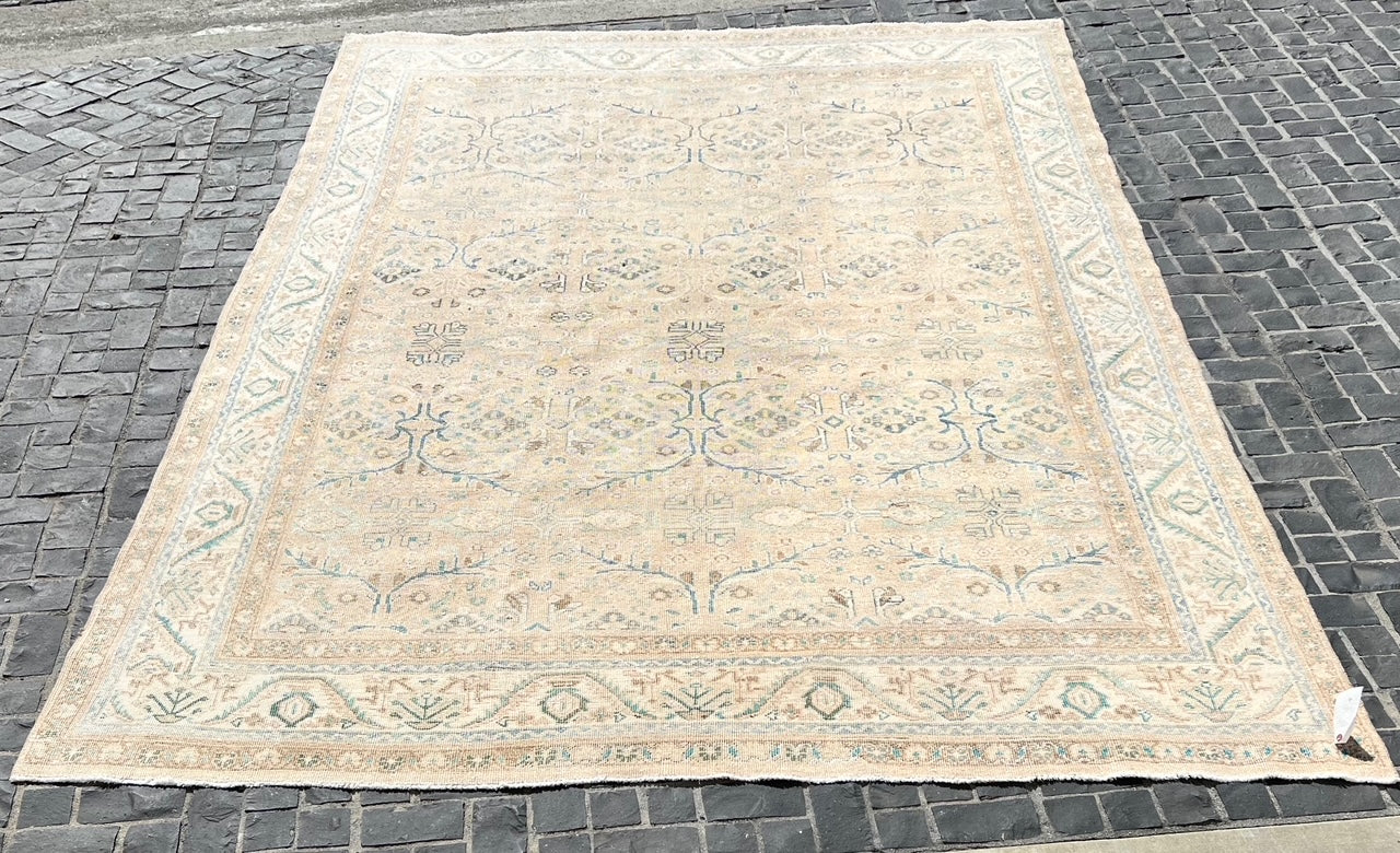 64110. 8'10"x12'7" Mahal Iran