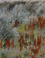 tn850x700-58483 Steppe-Spring 9' x 12'.jpg